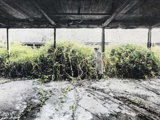 Birgit Graschopf, Monstrum, Fotografie auf Beton, handkoloriert, 40 x 60 cm, 2025