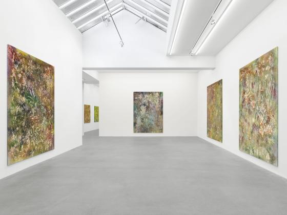 Installation view, Sam Falls, Galerie Eva Presenhuber, Waldmannstrasse, Zurich, 2025