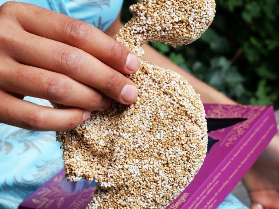 Keyvisual_Mariana Castillo Deball, Amaratus, 2021, Edition, MGKSiegen