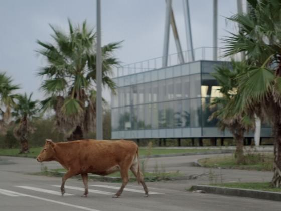 Der Nassauische Kunstverein Wiesbaden präsentiert die erste umfassende Einzelausstellung der Künstlerin Tekla Aslanishvili (*1988 in Tiflis) – eine der spannendsten Stimmen der zeitgenössischen Videokunst – in Deutschland. 