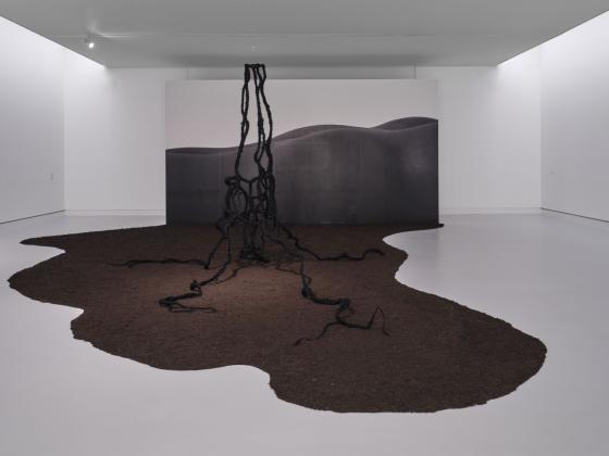 Tapete mit Oberkörper, davor Erde und mit Eisendraht verstärkte, aufreche Kunsthaarzöpfe, die miteinander verwoben sind zu einer Baumwurzelartigen Struktur