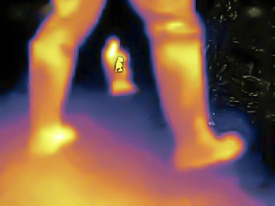 Infrarotaufnahmen aus der Perspektive einer Schlange. Zu sehen sind orange-lila leuchtende Beine und ein nicht identifizierbares Objekt dazwischen ebenfalls in den gleichen Farben