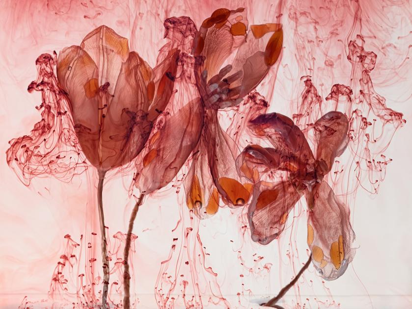 Fairies IV 2, 2020 © Kathrin Linkersdorff / VG Bild-Kunst, Bonn 2025
