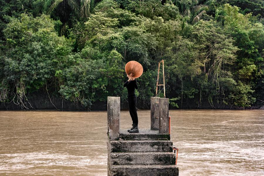 María José Arjona, All Possible Forests #1, 2022