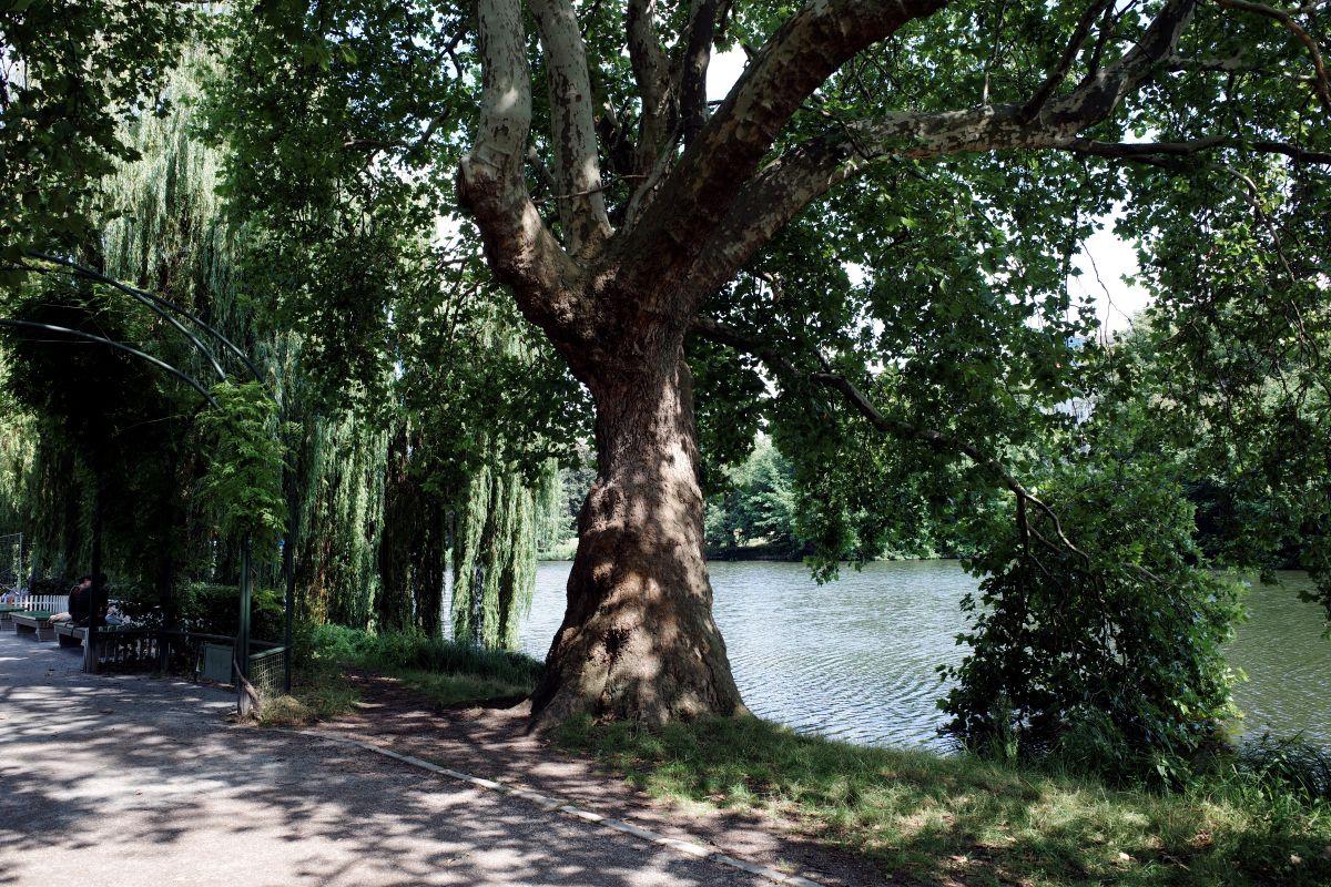 Lietzensee & Lietzenseepark
