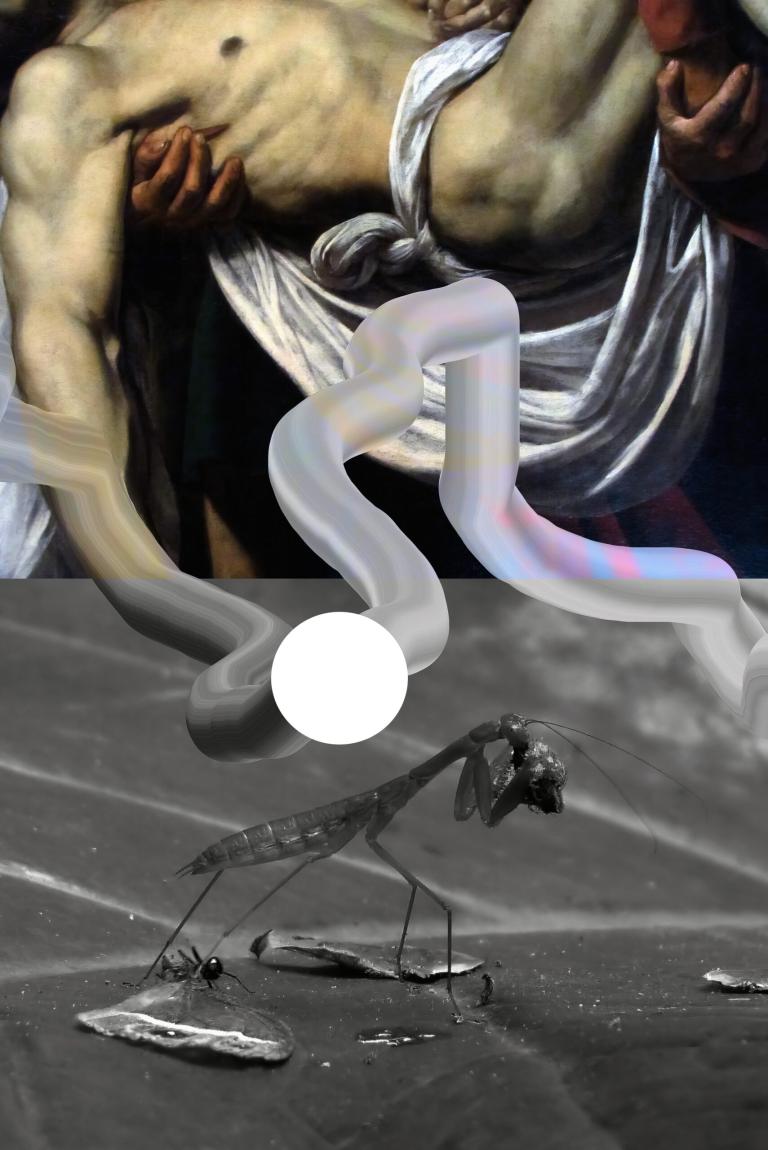 Hunt Kastner: JiŘí Thýn "Butterfly of Hope", 2024