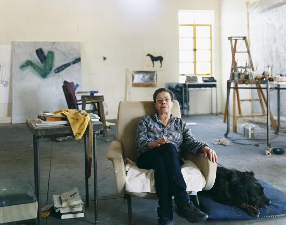 Susan Rothenberg, Galisteo, New Mexico, 2008