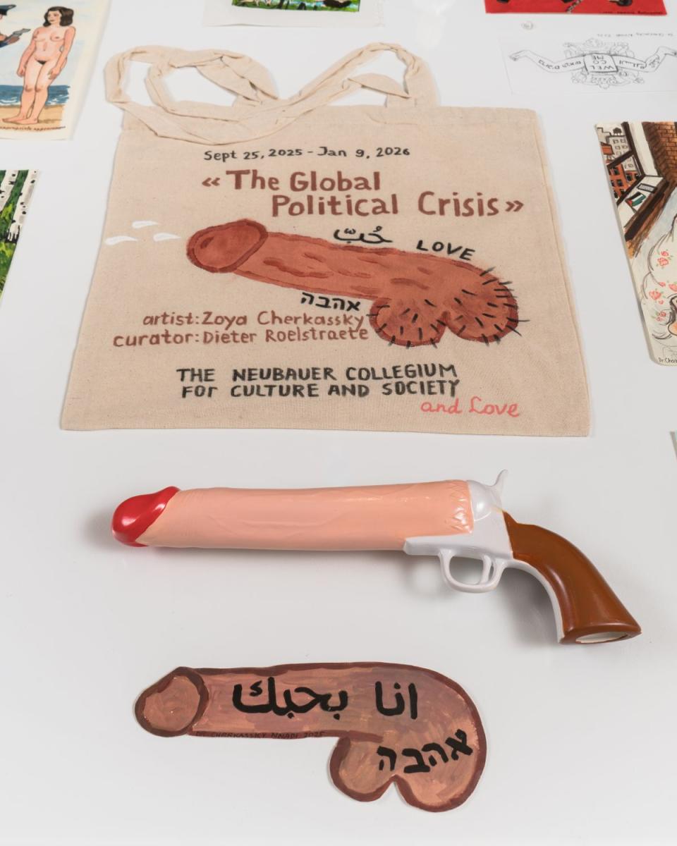 Zoya Cherkassky "The Global Political Crisis", Installationsansicht Neubauer Collegium for Culture and Society, Chicago