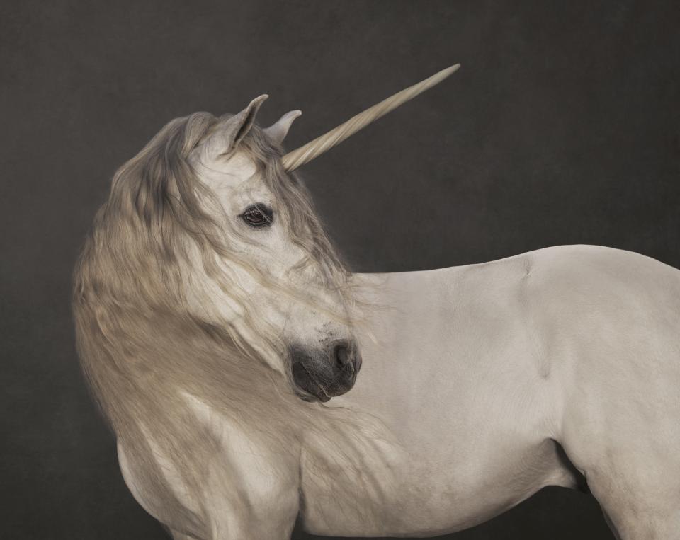 Marie Cécile Thijs "Einhorn", 2012, aus der Serie "Pferde"