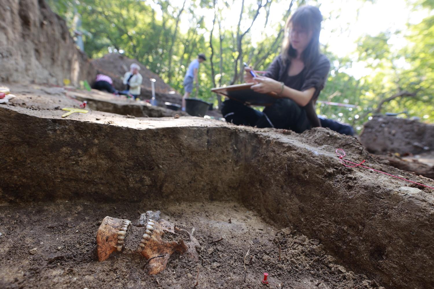 Archäologische Funde auf dem Galgenberg