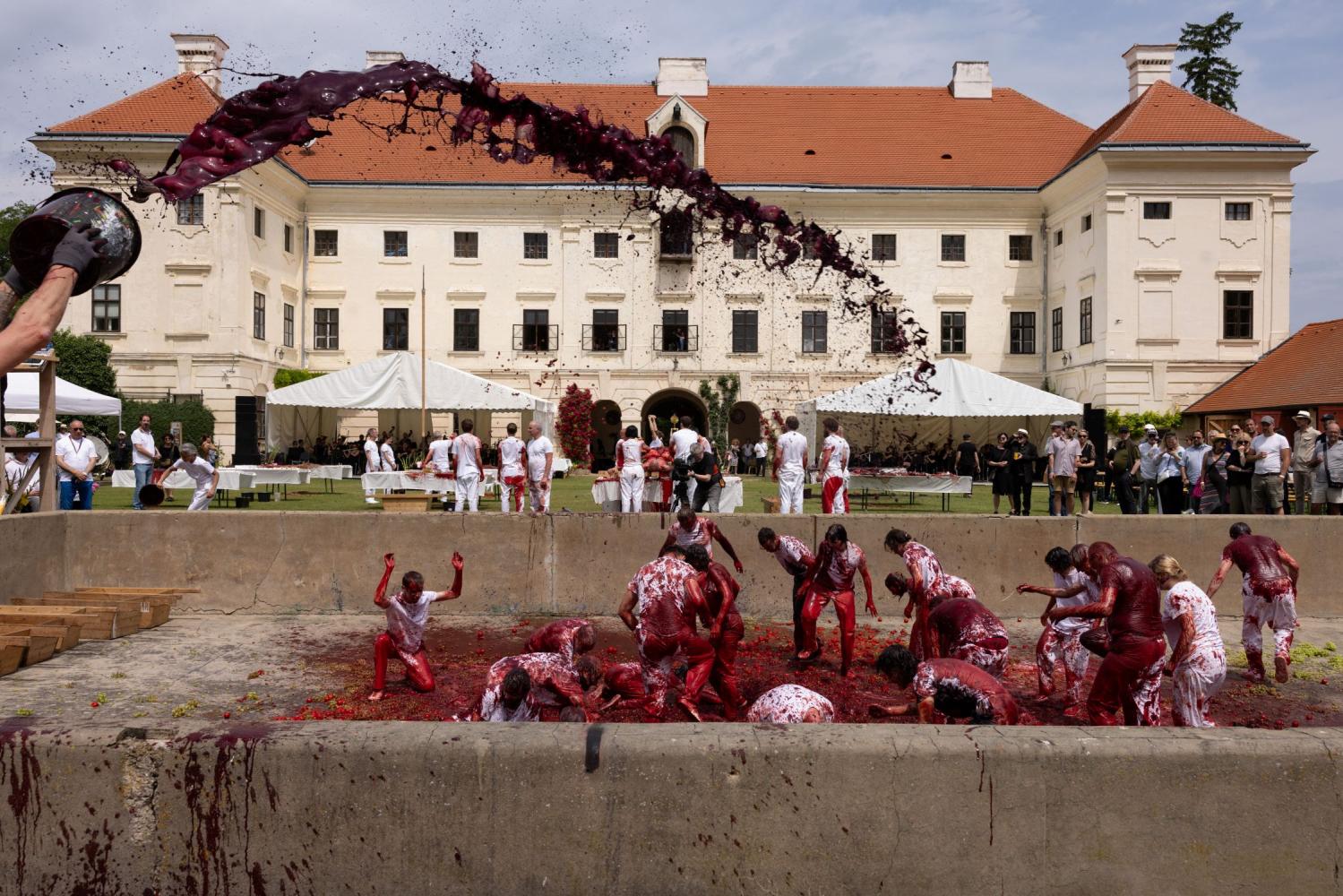 Hermann Nitsch "Orgien Mysterien Theater", Aufführungsansicht, Schloss Prinzendorf, Prinzendorf an der Zaya, Österreich, 2025