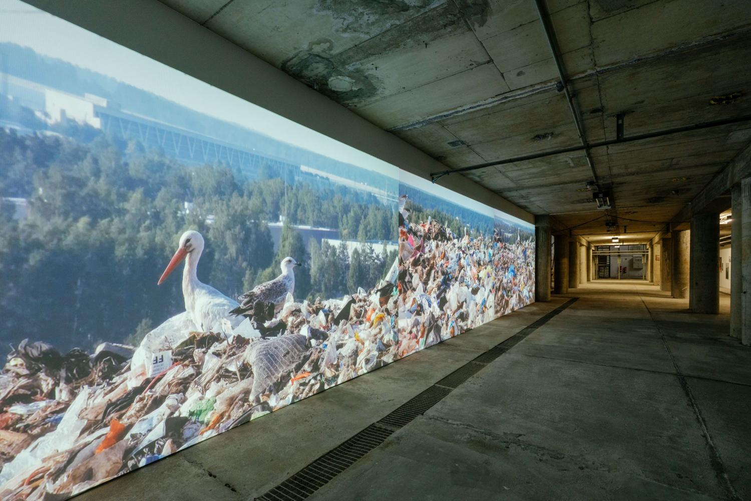 Diana Lelonek "Stork, a sacred bird", 2022