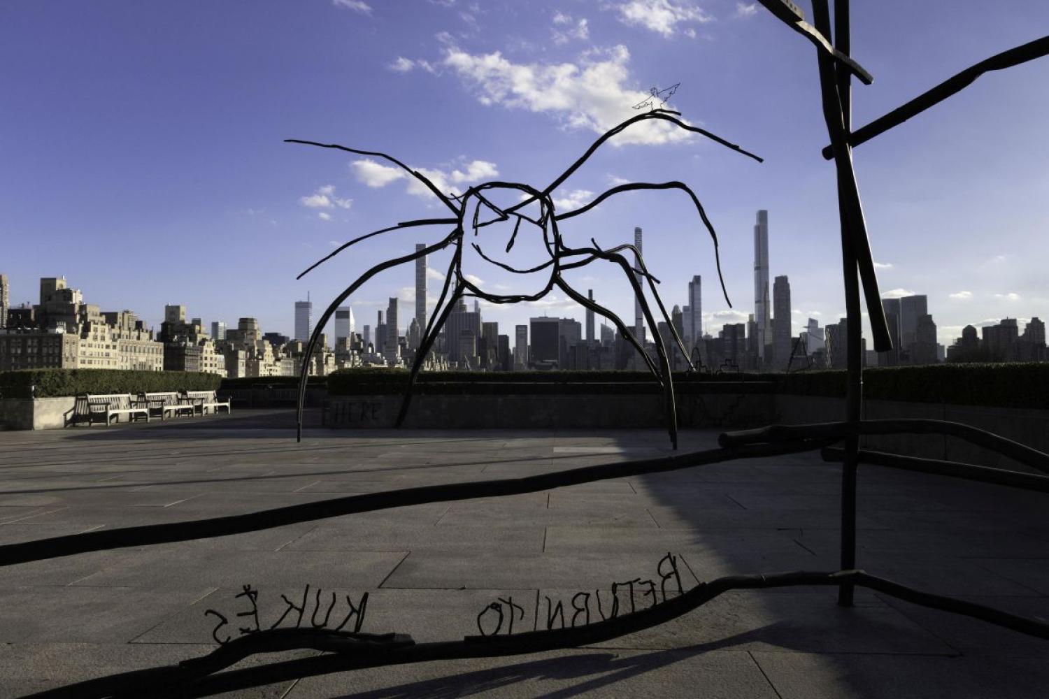 Petrit Halilaj "ABETARE", 2024, Installationsansicht Metropolitan Museum of Art, New York