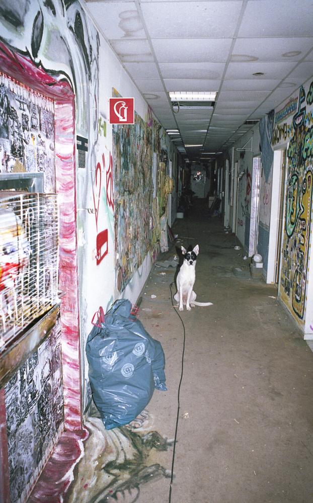 Fotografie von Nicolas Val