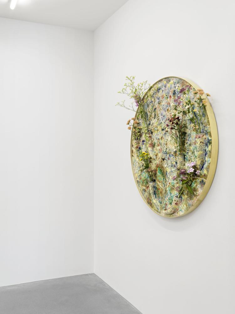 View_FALLS_GEP_Waldmann_04