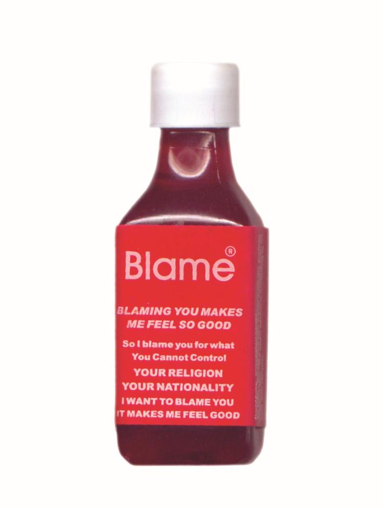 Shilpa Gupta "Blame", 2002–04