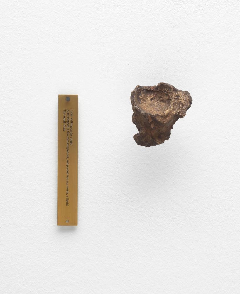 Shilpa Gupta "A liquid, the mouth froze", 2018