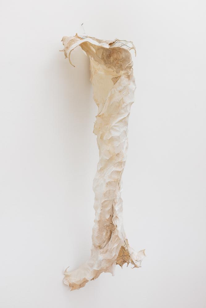 Lynda Benglis "Bone Ribbon", 2015-2016