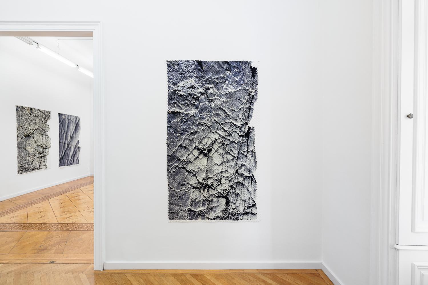 Installationsansicht "The Shed", Croy Nielsen, Vienna, 2025