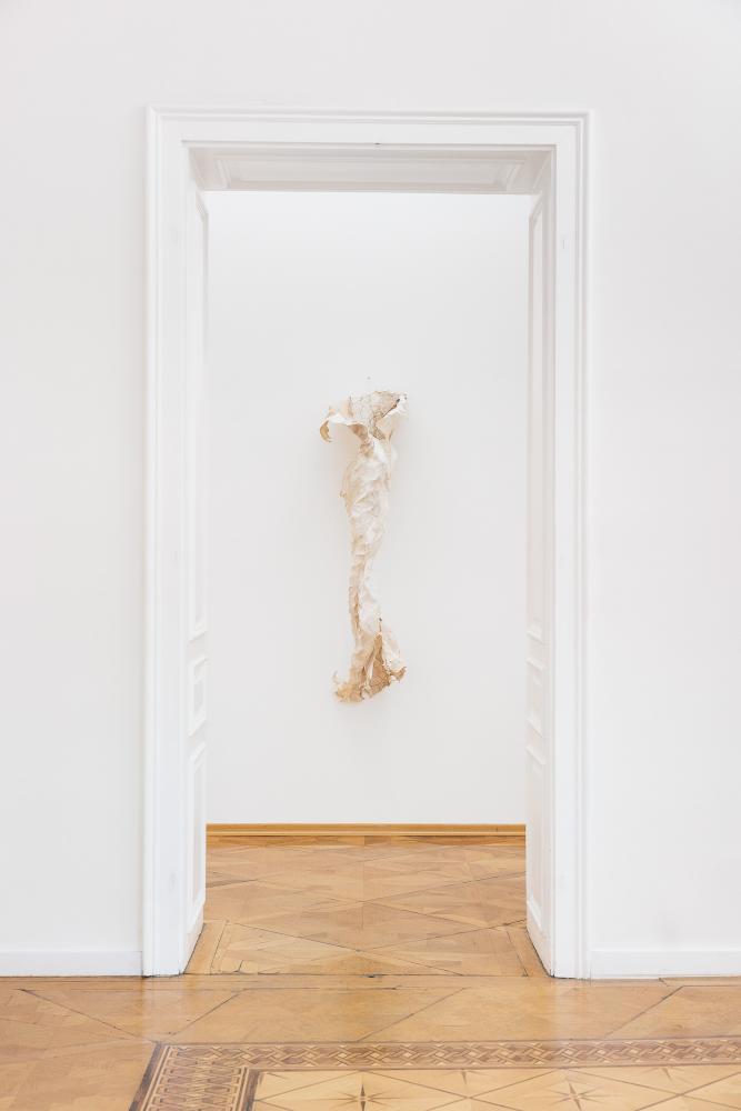 Installationsansicht "The Shed", Croy Nielsen, Vienna, 2025